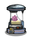 CoralVat