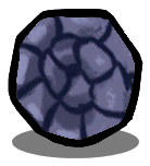 Coquina