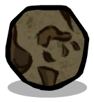 Fossil