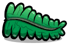 Kelp