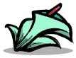 SwampLilyFlower