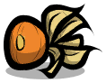 VineFruit